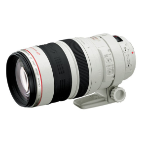 Canon EF 100-400mm f/4.5-5.6L IS II USM Lens