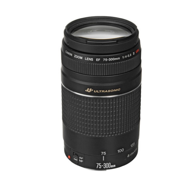 Canon EF 75-300mm f/4-5.6 III USM Lens