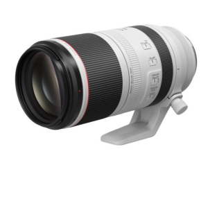 Canon RF 100-500mm f/4.5-7.1 L IS USM Lens