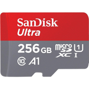 SanDisk MicroSD CLASS 10 120MBPS 256GB without Adapter (SDSQUA4-256G-GN6MN)