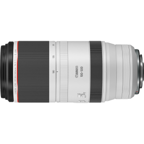 Canon RF 100-500mm f/4.5-7.1 L IS USM Lens