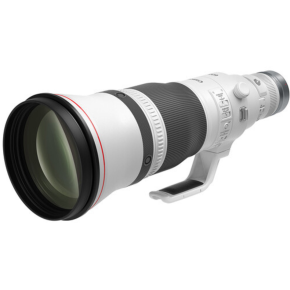 Canon RF 600mm f/4 L IS USM Lens