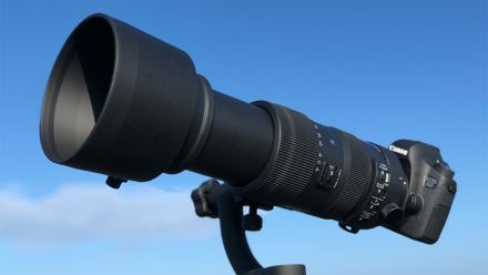 Sigma 60-600mm f/4.5-6.3 DG OS HSM Sports Lens (Canon EF)