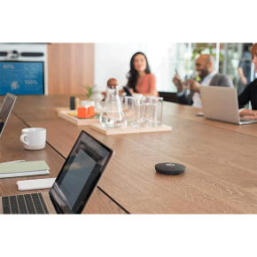 Logitech Expansion Mic Pod for the Rally (989-000430)