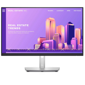 Dell P2422H 24