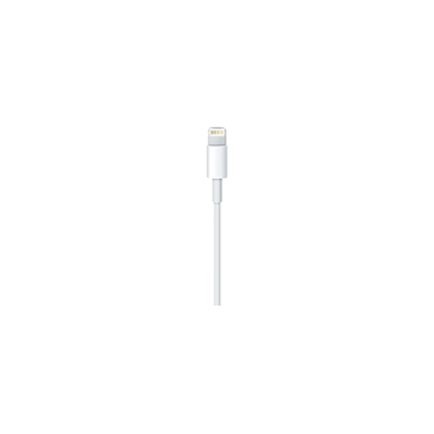 Apple 1 Meter Lightning To USB-A Cable - (MXLY2AM/A)