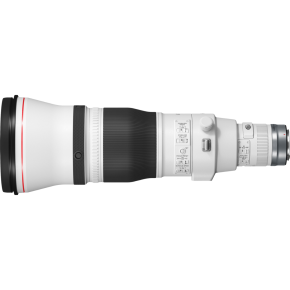 Canon RF 600mm f/4 L IS USM Lens