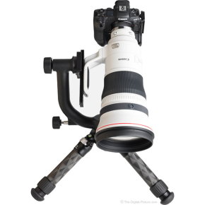 Canon RF 400mm f/2.8 L IS USM Lens