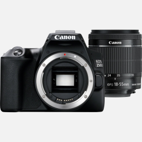 Canon EOS 250D DSLR Camera with 18-55mm f/4-5.6 IS STM Lens