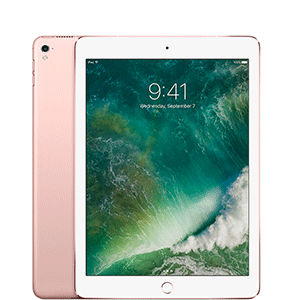 Apple iPad 9.7in 6th Generation WiFi + Cellular (32GB, Rose Gold)