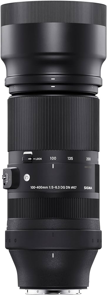 Sigma 100-400mm f/5-6.3 DG DN OS Contemporary Lens for Sony E