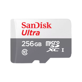 SanDisk MicroSD CLASS 10 100MBPS 256GB -SDSQUNR-256G-GN3MN